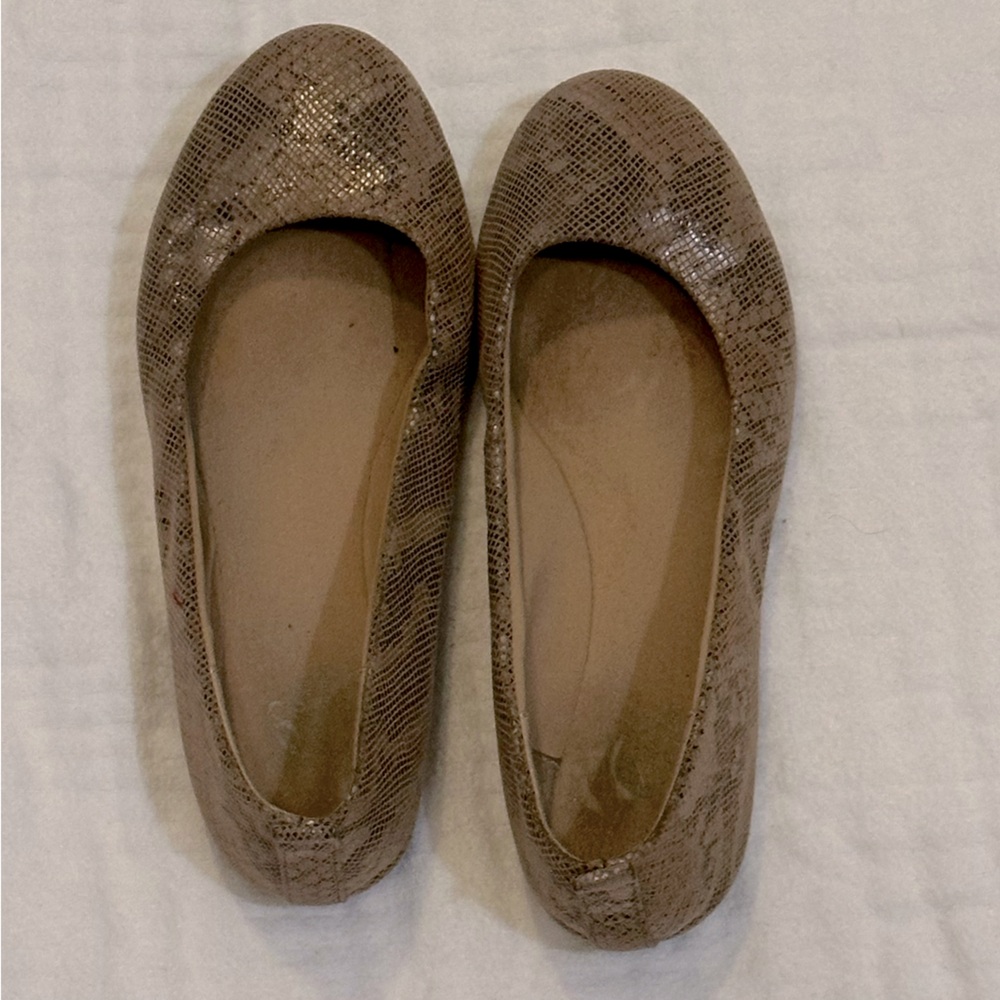 Brown Snakeskin Ballet Flats